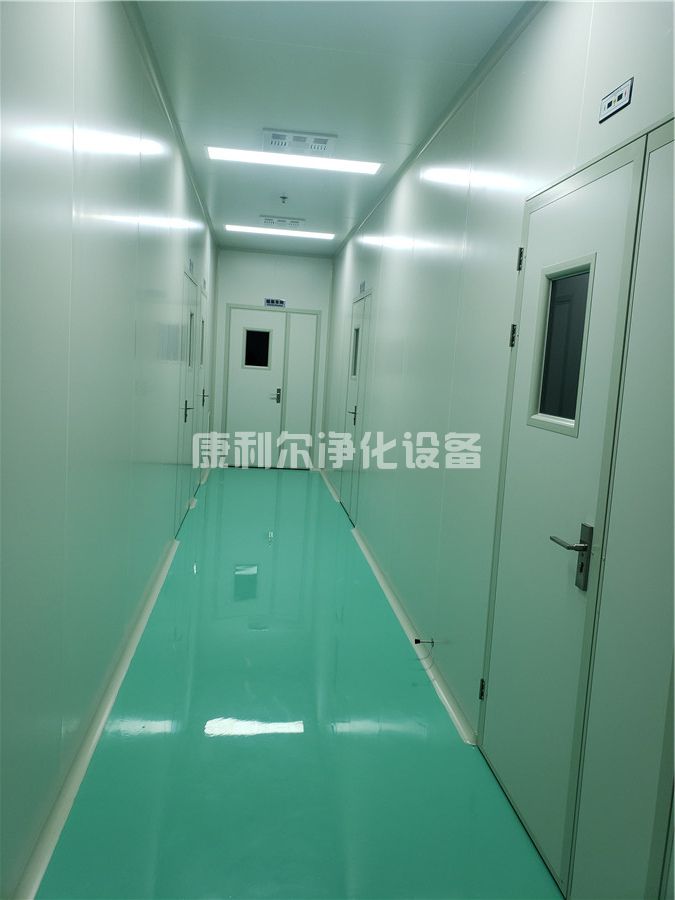 康利尔净化工程(图1)