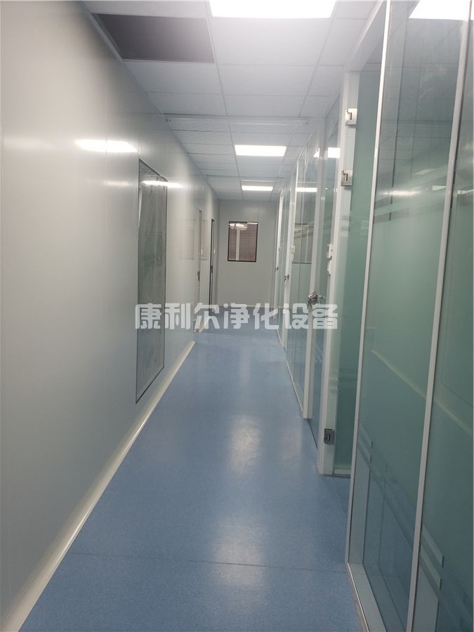 净化工程案例(图1)