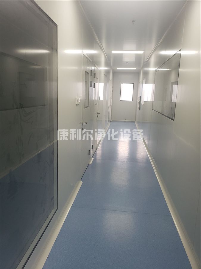 净化工程案例(图2)