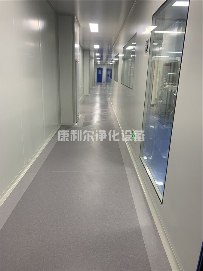 工厂净化工程(图5)