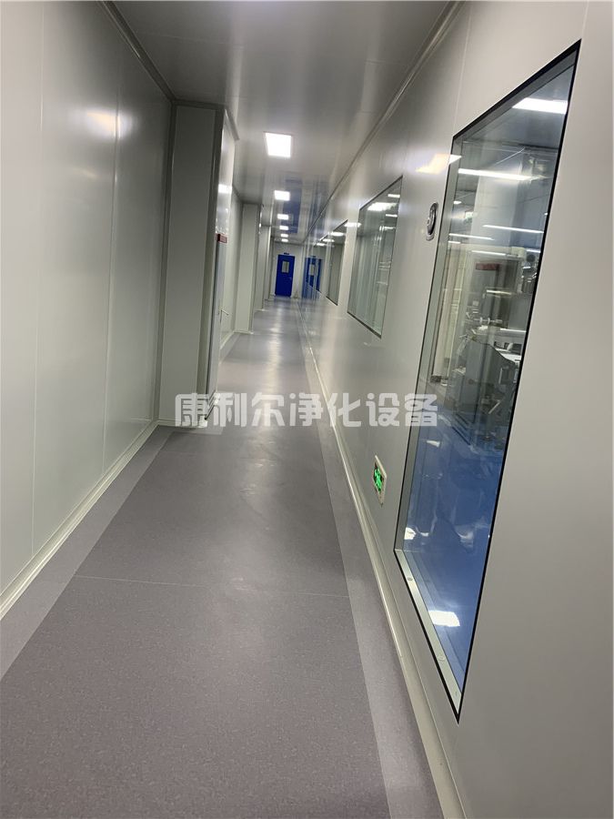 工厂净化工程(图4)
