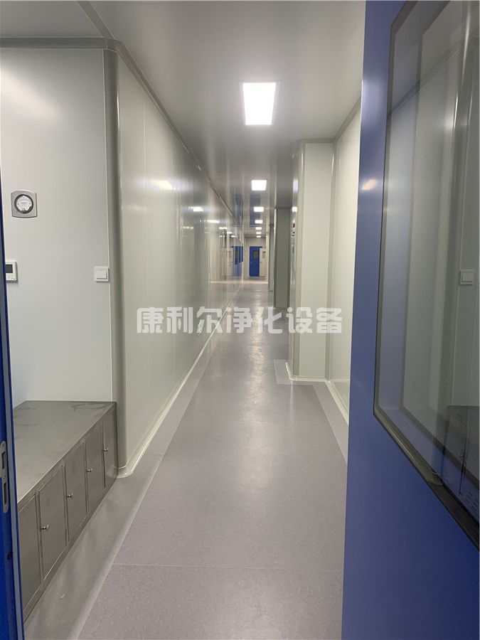 康利尔净化施工(图2)