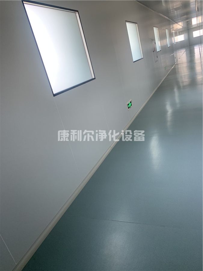 无尘洁净室工程(图14)