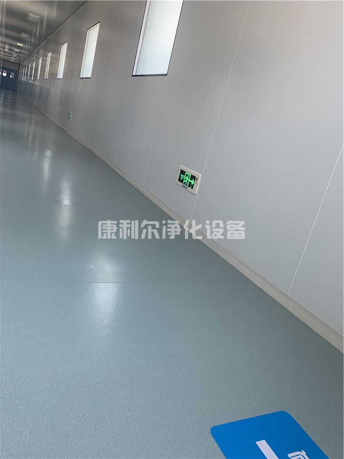 无尘洁净室工程(图15)
